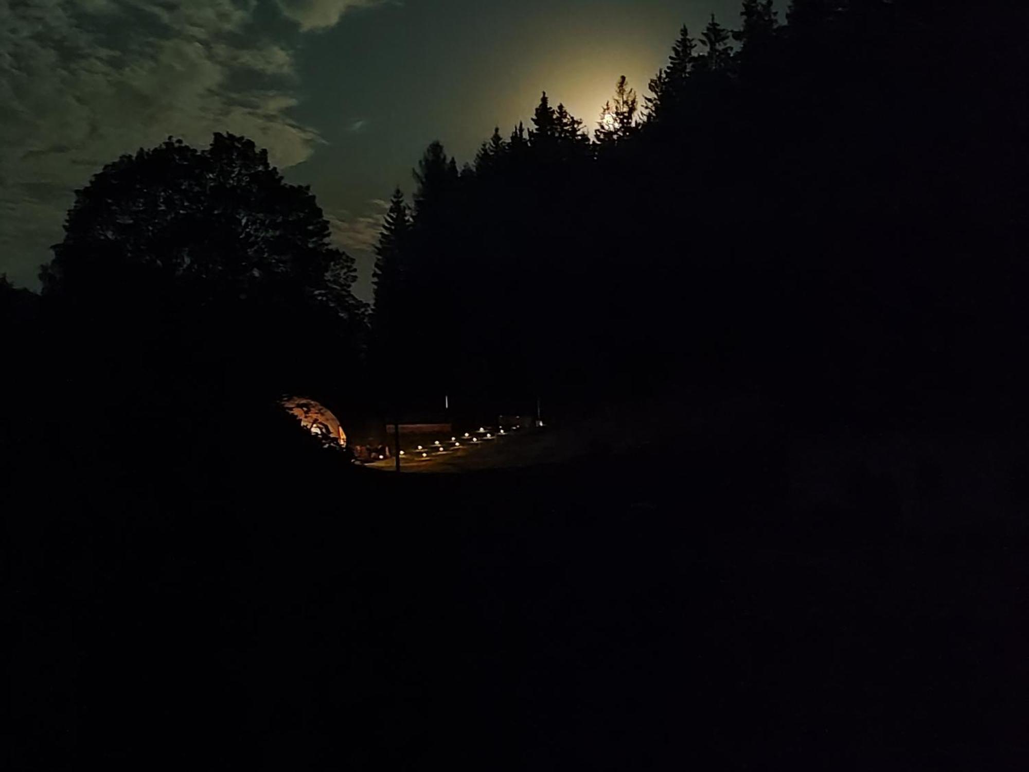 מלון Mieroszow Forrest Glamp מראה חיצוני תמונה